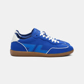 Delta Cobalt